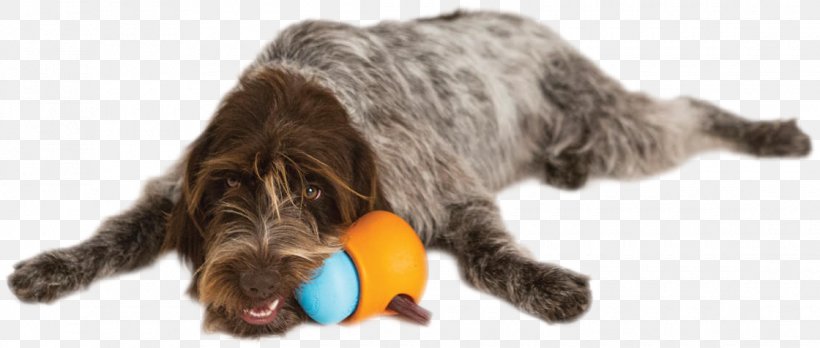 Wirehaired Pointing Griffon Dog Toys Cat Puppy, PNG, 1120x476px, Wirehaired Pointing Griffon, Animal Figure, Cat, Chew Toy, Chewy Download Free