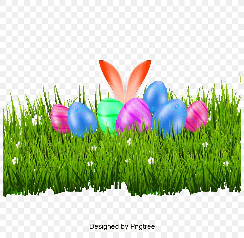 Easter Egg Background, PNG, 800x800px, Easter Bunny, Easter, Easter Egg, Egg, Grass Download Free