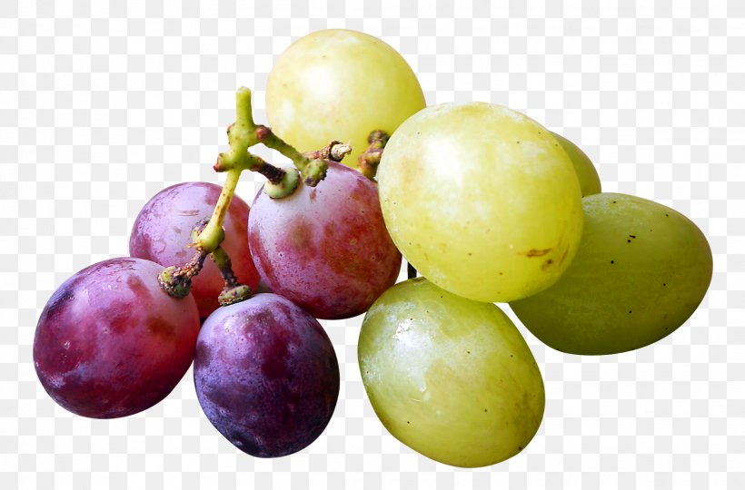 Grape Organic Food Veganism, PNG, 1623x1069px, Grape, Food, Fruit, Grape Seed Extract, Grapefruit Download Free