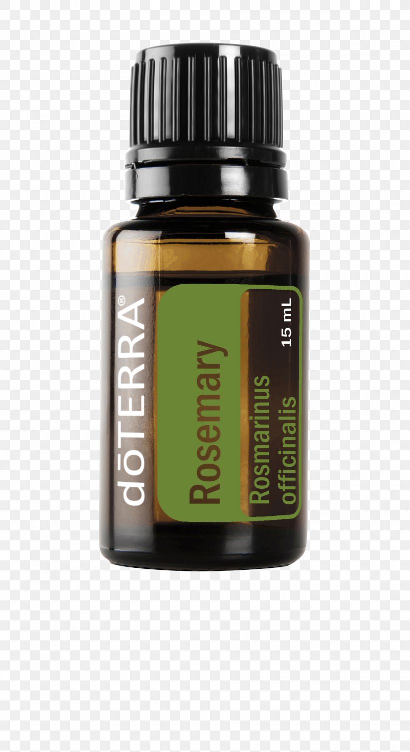 Peppermint DoTerra Essential Oil Lavender Oil, PNG, 1800x3300px, Peppermint, Basil, Bergamot Orange, Bottle, Doterra Download Free