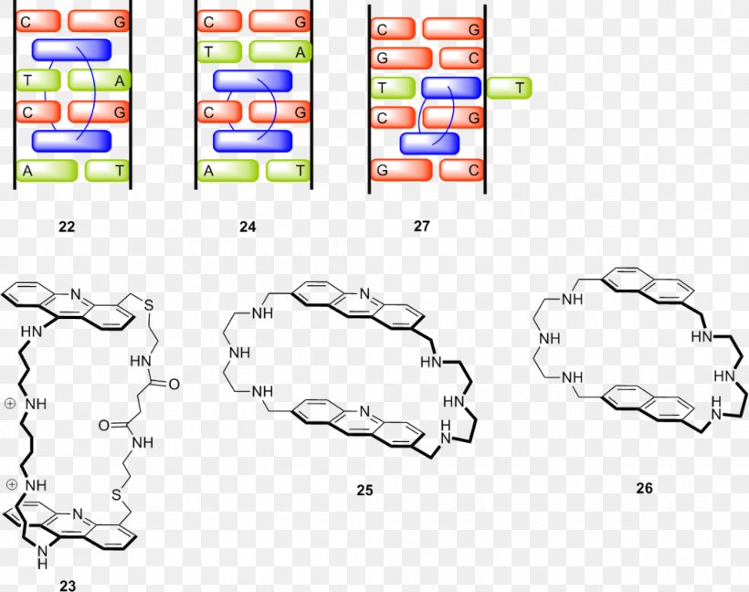 Supramolecular Chemistry Molecule Organism, PNG, 1045x826px, Watercolor, Cartoon, Flower, Frame, Heart Download Free