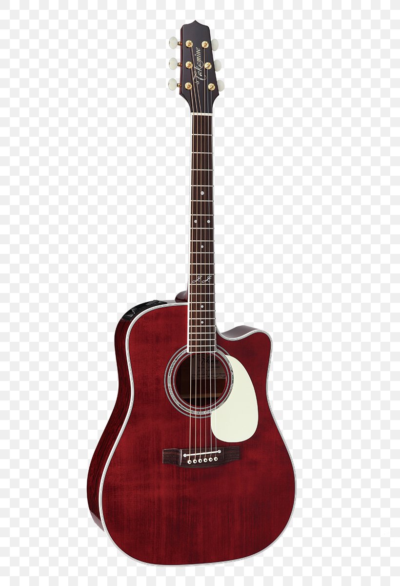 Takamine Guitars Twelve-string Guitar Acoustic-electric Guitar Dreadnought Acoustic Guitar, PNG, 800x1200px, Watercolor, Cartoon, Flower, Frame, Heart Download Free