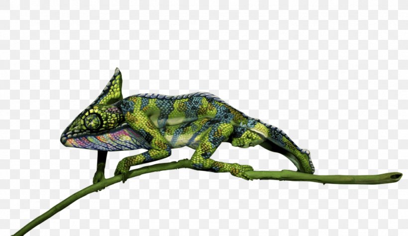 Chameleons Reptile Lizard Animal, PNG, 1024x593px, Chameleons, Animal, Cartoon, Chameleon, Fauna Download Free