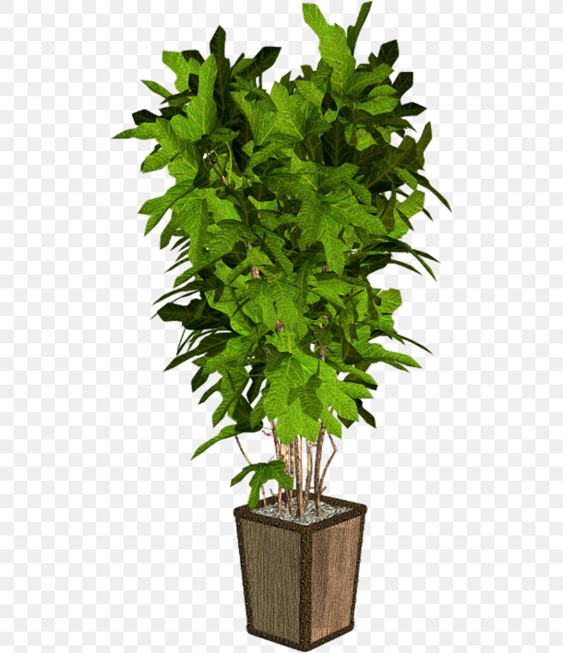 Flowerpot Houseplant Tree, PNG, 500x951px, Flowerpot, Arecaceae, Evergreen, Herb, Houseplant Download Free
