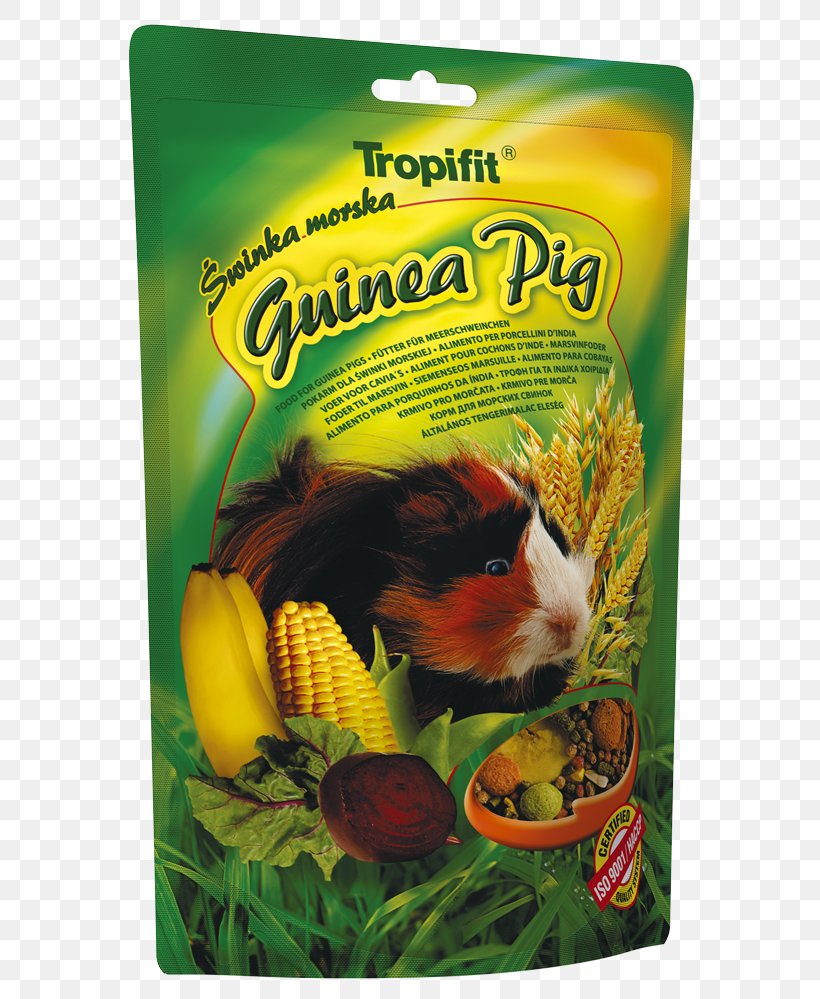 Guinea Pig European Rabbit Food, PNG, 603x999px, Guinea Pig, Animal, Cage, Carob Tree, Cereal Download Free