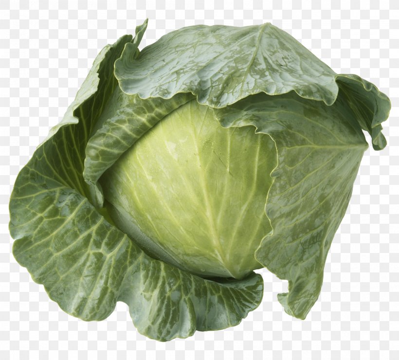 Savoy Cabbage Red Cabbage Cauliflower Brussels Sprout, PNG, 1992x1800px, Cabbage, Brassica Oleracea, Brussels Sprout, Cabbage Family, Cauliflower Download Free