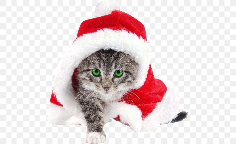 Christmas Tree Watercolor, PNG, 500x500px, Santa Claus, American Shorthair, American Wirehair, Cat, Christmas Download Free