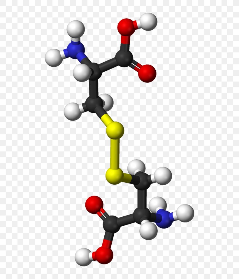 Cystine Cysteine Disulfide SLC7A11 Amino Acid, PNG, 600x958px, Cystine, Acid, Amino Acid, Body Jewelry, Cell Download Free
