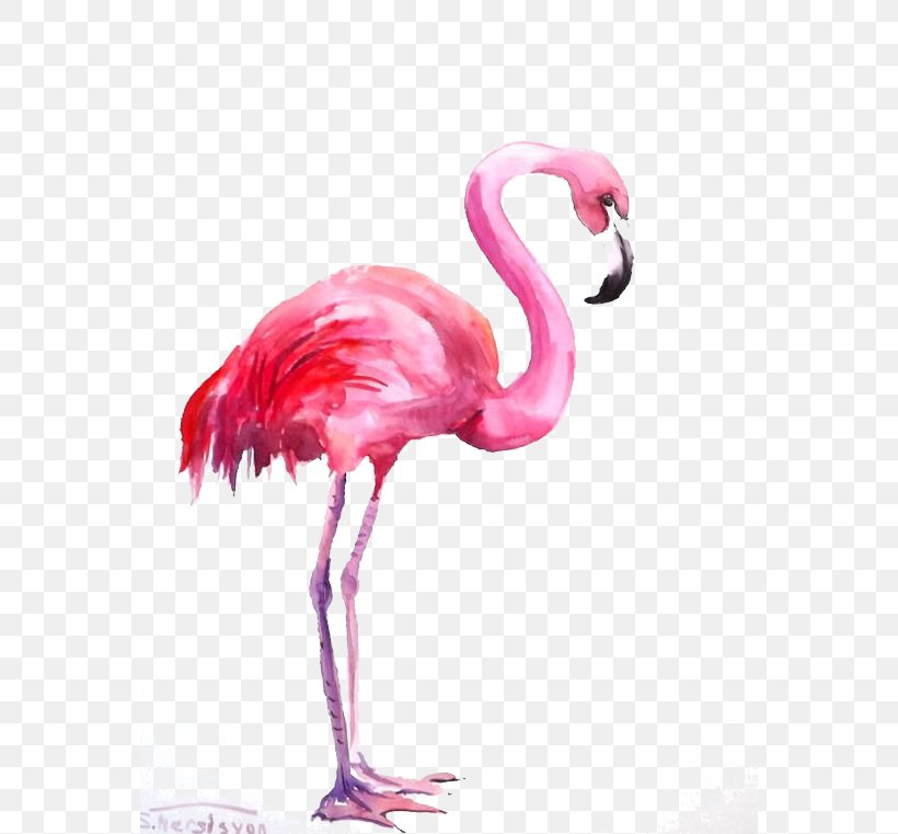 Flamingo Watercolor Painting, PNG, 564x761px, Flamingo, Art, Artist, Beak, Bird Download Free