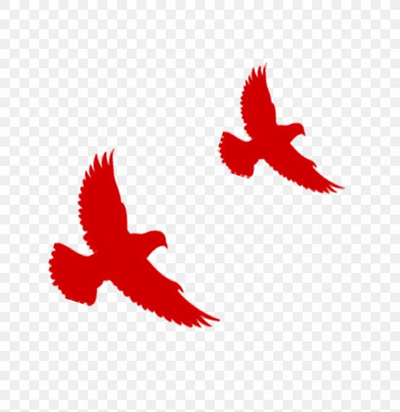 Flight Hongmian Bird Red, PNG, 875x902px, Flight, Bird, China, Eagle, Google Images Download Free