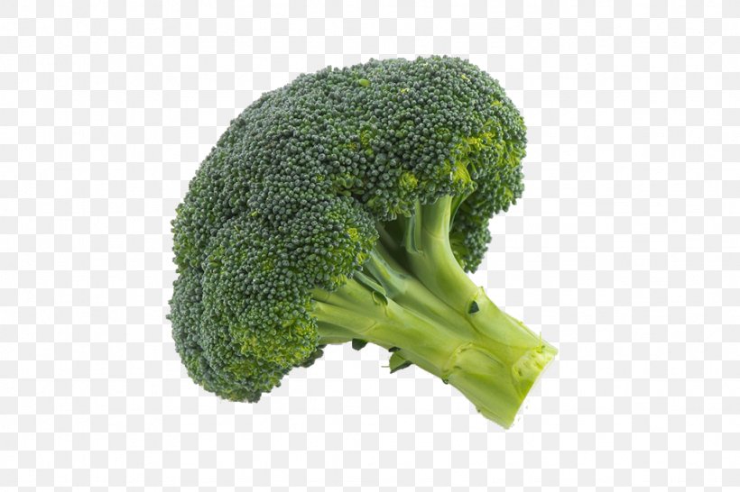 Broccoli Vegetable Drawing, PNG, 1024x683px, Broccoli, Button, Cauliflower, Drawing, Food Download Free
