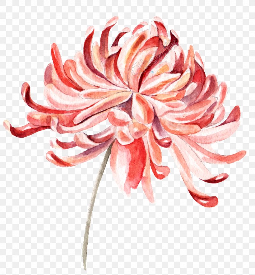 Chrysanthemum Design Image Vector Graphics, PNG, 1024x1103px, Chrysanthemum, Chrysanths, Cut Flowers, Dahlia, Decorative Arts Download Free