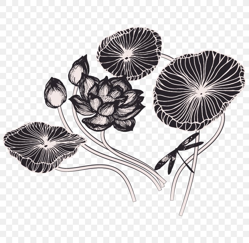 Drawing Nelumbo Nucifera Lotus Effect Sketch, PNG, 801x800px, Drawing, Black And White, Bud, Flower, Leaf Download Free