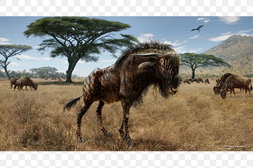 Hadrosaurid Rusingoryx Saurolophus Dinosaur Corythosaurus, PNG, 900x600px, Hadrosaurid, Animal, Animal Migration, Blue Wildebeest, Corythosaurus Download Free