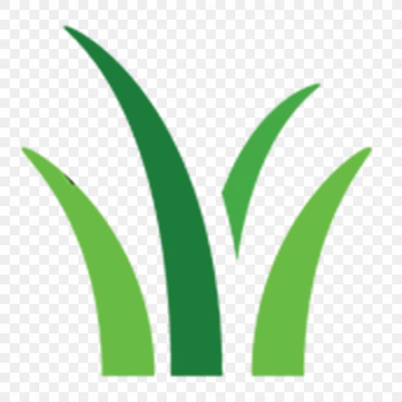Logo Leaf Font Brand Plant Stem, PNG, 1080x1080px, Logo, Brand, Grass, Grass Family, Grasses Download Free