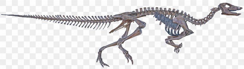 Tyrannosaurus Thescelosaurus Velociraptor Hell Creek Formation Late Cretaceous, PNG, 5944x1696px, Tyrannosaurus, Animal Figure, Bella Thorne, Character, Cretaceous Download Free