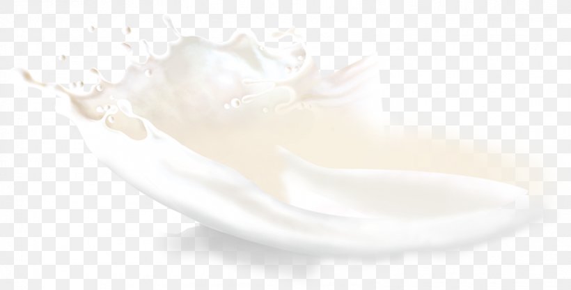 White Petal, PNG, 1578x802px, White, Cream, Petal Download Free