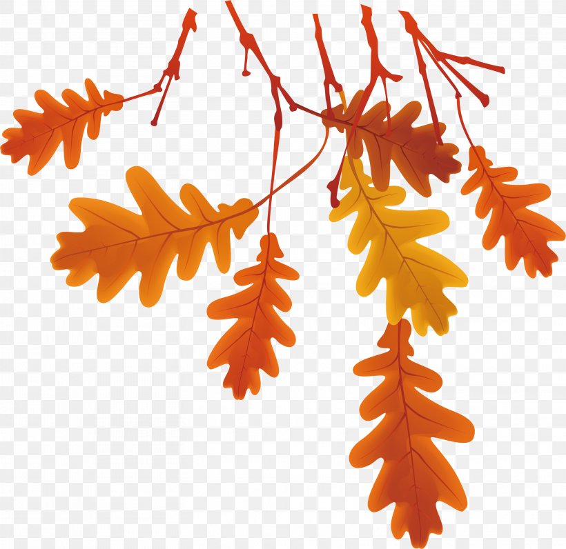 Autumn Leaves, PNG, 3126x3035px, Leaf, Autumn, Branch, Deciduous, Gratis Download Free