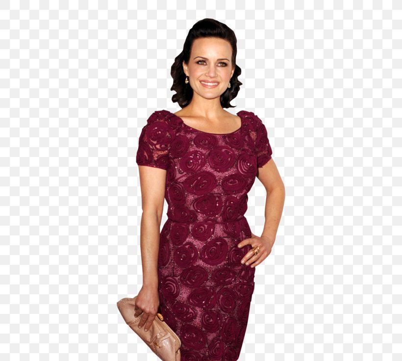 Carla Gugino Cocktail Dress Lace Velvet, PNG, 490x736px, Carla Gugino, Arclight Cinemas, Bodycon Dress, Clothing, Cocktail Dress Download Free