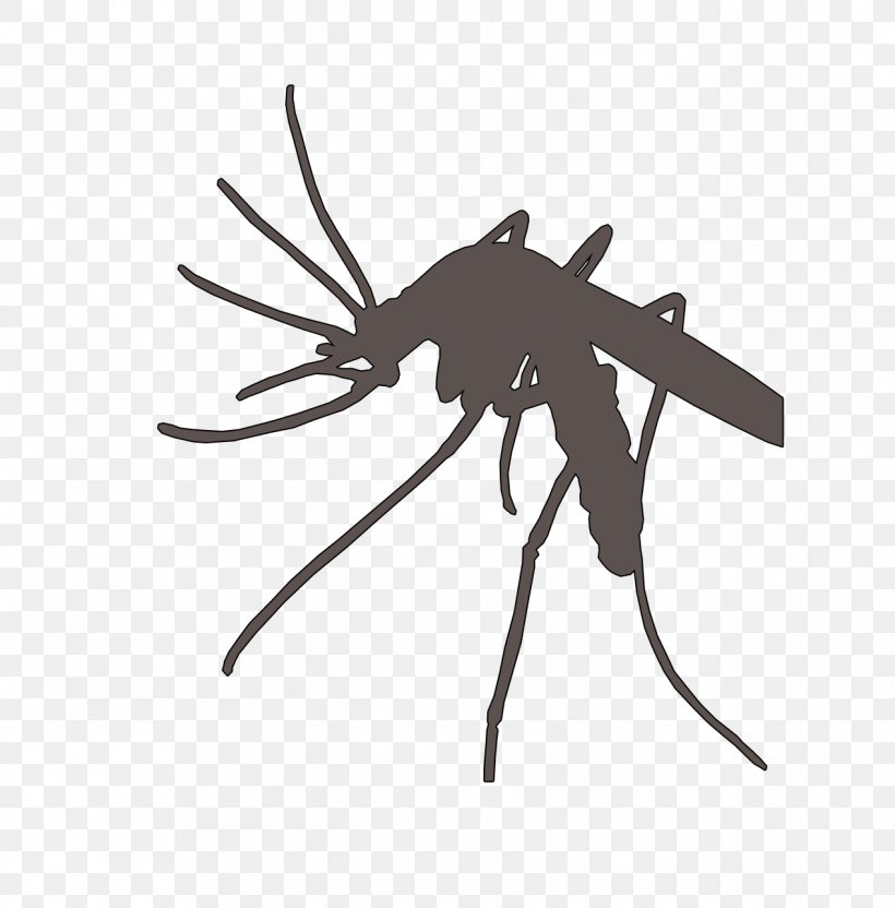 Marsh Mosquitoes Flying Mosquitoes Mosquito Nets & Insect Screens Malaria, PNG, 1268x1288px, Marsh Mosquitoes, Animal, Arthropod, Flying Mosquitoes, Insect Download Free