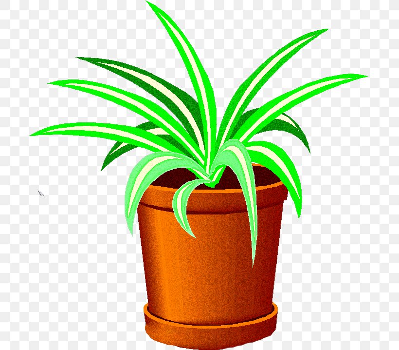 Palm Tree, PNG, 699x718px, Flowerpot, Arecales, Flower, Houseplant, Leaf Download Free