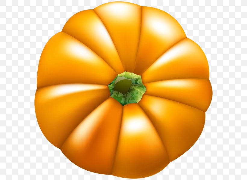 Pumpkin Gourd Winter Squash Calabaza, PNG, 600x598px, Pumpkin, Calabaza, Cucumber Gourd And Melon Family, Cucurbita, Flower Download Free