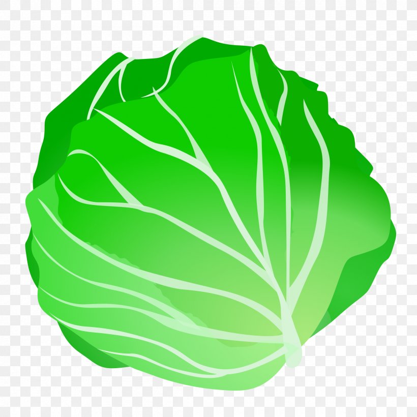 Vegetable Lettuce Fruit Clip Art, PNG, 2400x2400px, Cabbage, Chinese Cabbage, Food, Grass, Green Download Free