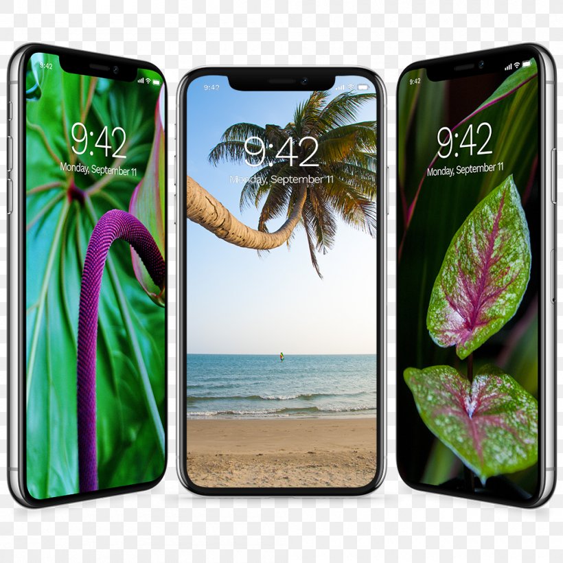 IPhone X Apple IPhone 8 Plus Desktop Wallpaper Samsung Galaxy S8 Wallpaper, PNG, 1000x1000px, Iphone X, Apple, Apple Iphone 8 Plus, Grass, Invertebrate Download Free
