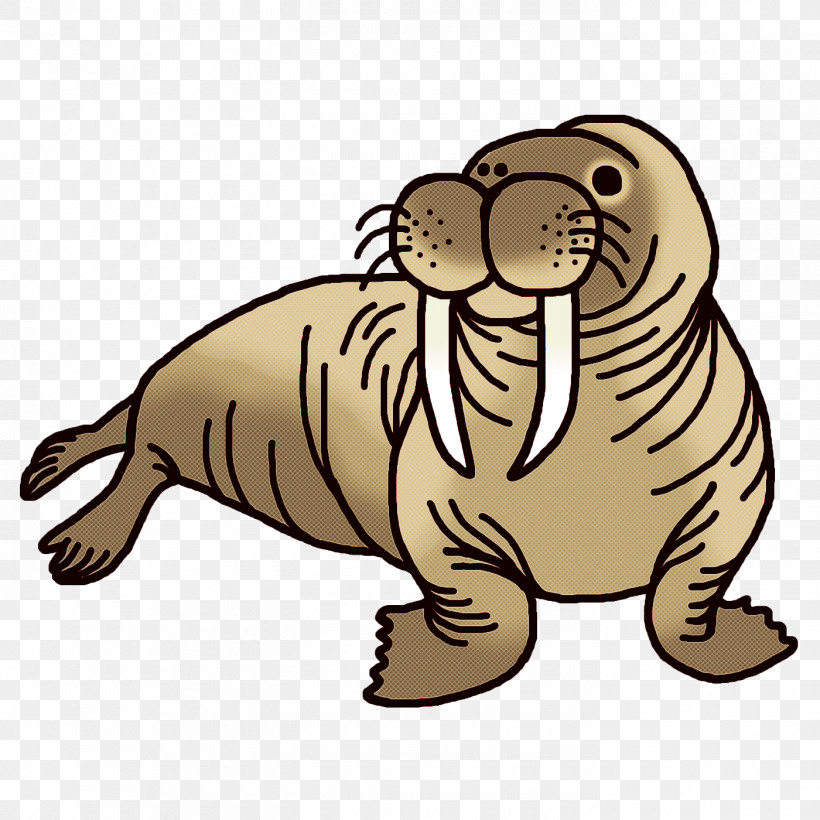 Seals Whiskers Dog Cat Bears, PNG, 1400x1400px, Seals, Bears, Beaver, Cat, Dog Download Free
