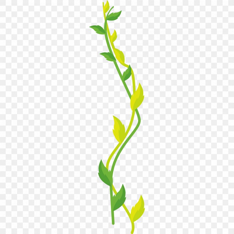 Vector Graphics Design Image Green, PNG, 2000x2000px, Green, Animation, Branch, Color, Flora Download Free