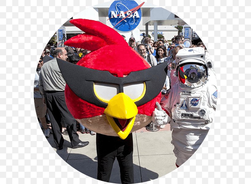 Angry Birds Space Advertising Kennedy Space Center Rovio Entertainment, PNG, 600x600px, Angry Birds Space, Advertising, Angry Birds, Game, Headgear Download Free