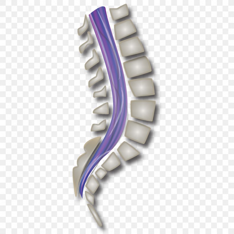 Green Bay Packers Carpal Tunnel Syndrome Wrist Pain Vertebral Column, PNG, 1184x1184px, Green Bay Packers, Aaron Rodgers, Ache, Body Jewelry, Carpal Bones Download Free