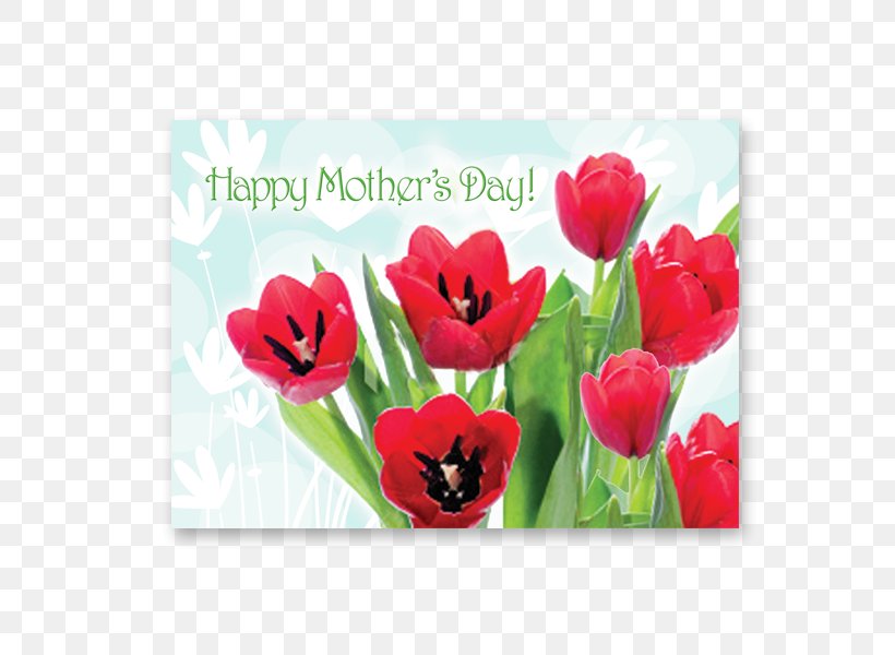 Greeting & Note Cards Mother's Day Tulip Gift, PNG, 600x600px, Greeting Note Cards, Envelope, Flower, Flowering Plant, Gift Download Free