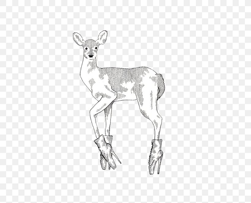 Reindeer Antelope Pack Animal Line Art Sketch, PNG, 500x664px, Reindeer, Animal, Antelope, Antler, Artwork Download Free