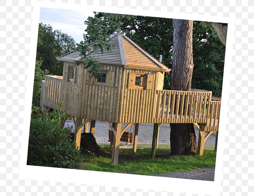 Tree House Child Shed, PNG, 701x633px, Tree House, Backyard, Cheeky Monkey Treehouses Ltd, Chicken Coop, Child Download Free