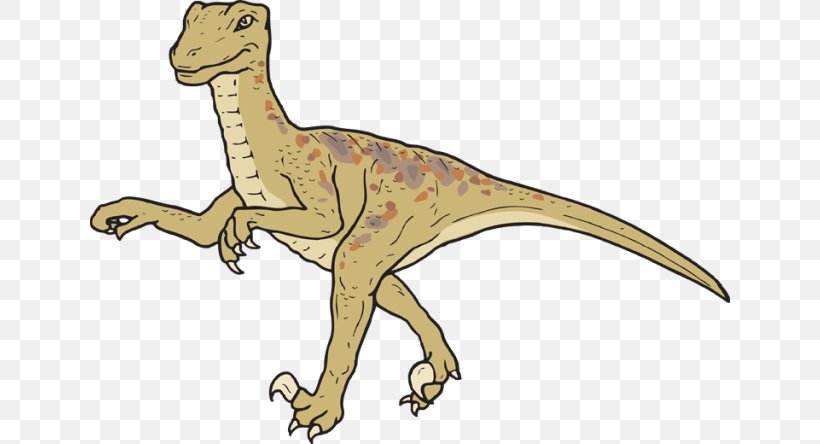 Velociraptor Tyrannosaurus Dinosaur Search Triceratops, PNG, 640x444px, Velociraptor, Animal Figure, Cartoon, Cdr, Dinosaur Download Free