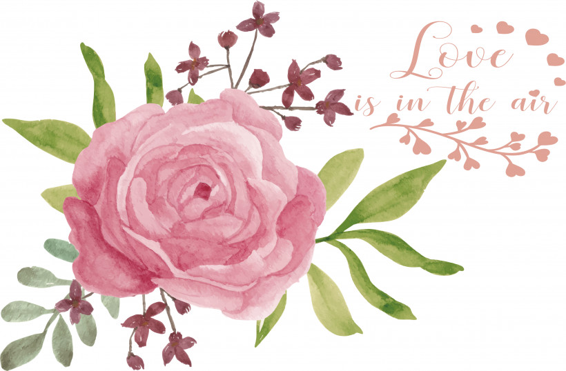 Floral Design, PNG, 3768x2473px, Floral Design, Flower, Flower Bouquet, Garden Roses, Pink Download Free