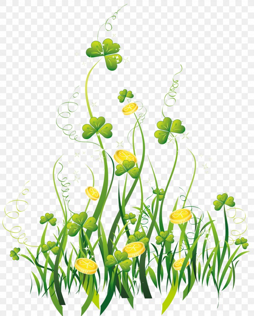 Saint Patrick's Day Shamrock Clip Art, PNG, 1627x2020px, Shamrock, Branch, Clip Art, Clover, Cut Flowers Download Free