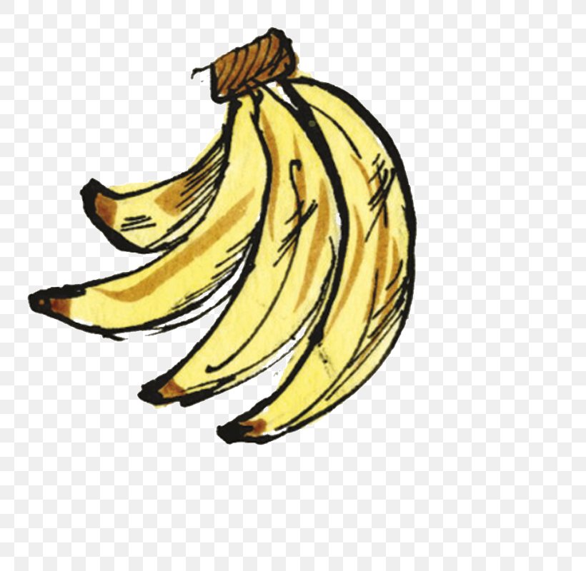 Banana Illustration Clip Art Commodity Carnivores, PNG, 800x800px, Banana, Banana Family, Carnivoran, Carnivores, Commodity Download Free