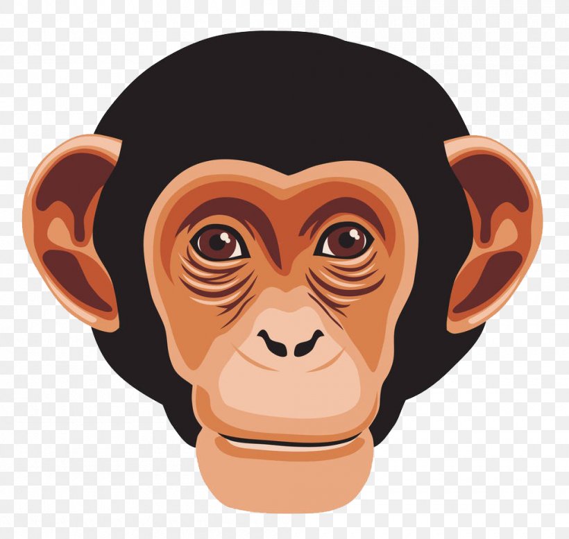 Chimpanzee Ape Primate Monkey, PNG, 1000x948px, Chimpanzee, Ape, Cartoon,  Ear, Face Download Free