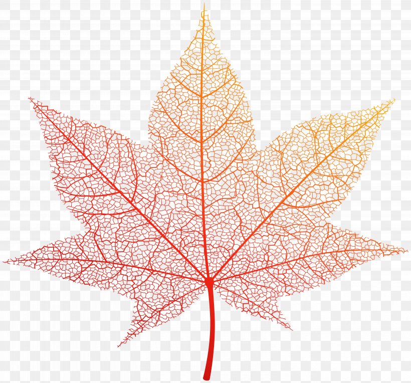 Image File Formats Lossless Compression, PNG, 6000x5592px, Leaf, Autumn, Cartoon, Maple, Maple Leaf Download Free