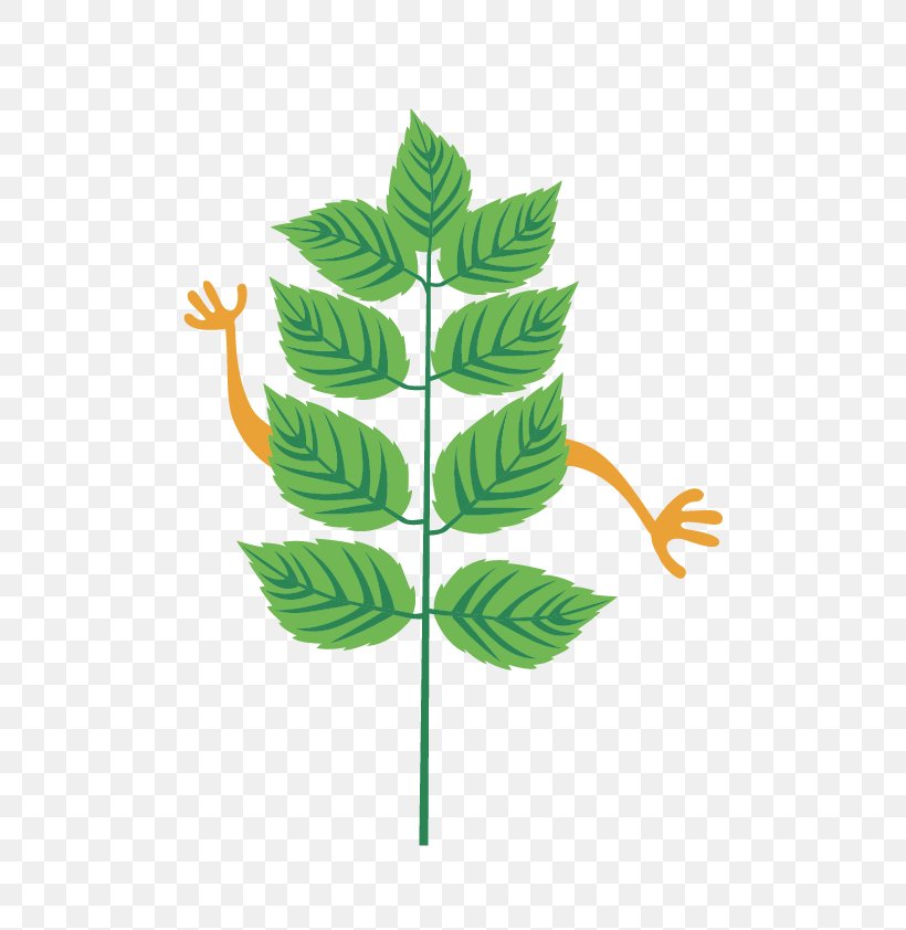 Leaf Plant Stem Line Tree Clip Art, PNG, 596x842px, Leaf, Grass, Plant, Plant Stem, Tree Download Free