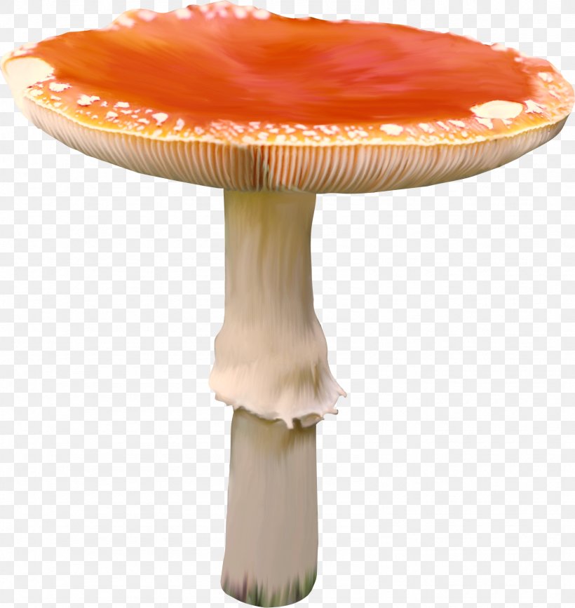Fungus Mushroom Collage Clip Art, PNG, 1591x1683px, Fungus, Album, Architect, Author, Child Download Free