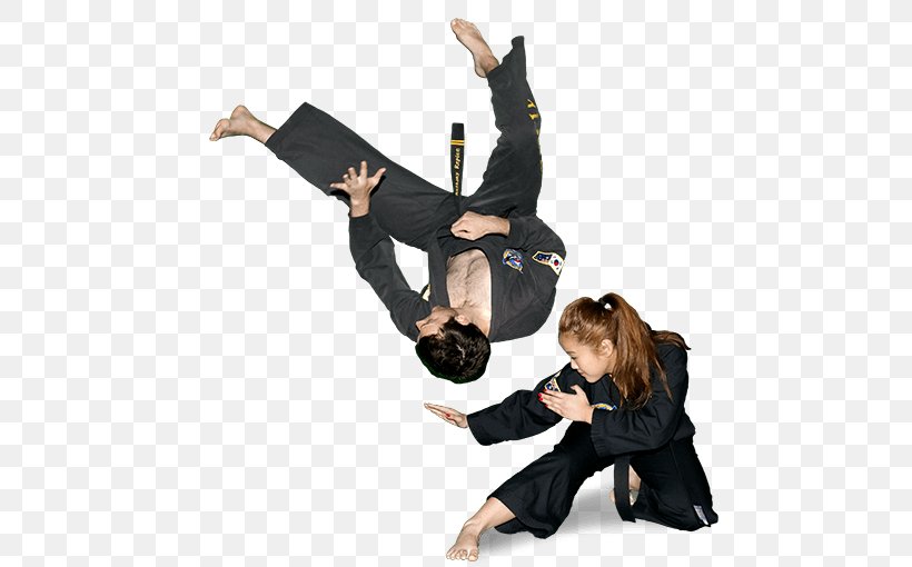 Hapkido Martial Arts Kick Self-defense Strike, PNG, 500x510px, Hapkido, European Hapkido Union, Information, Joint, Kick Download Free