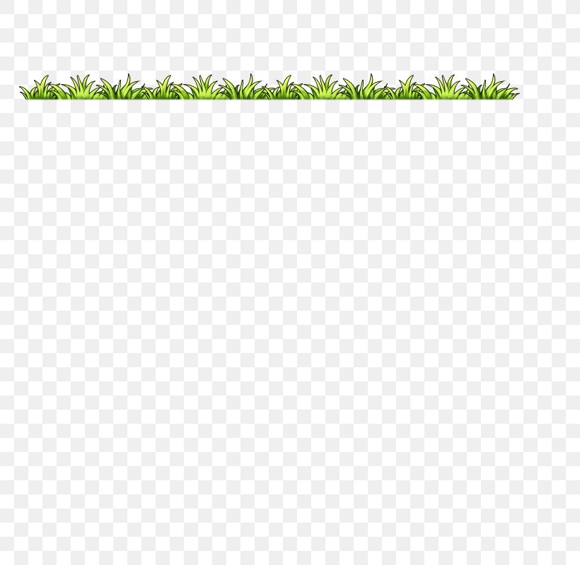 Line Angle Green Shoe Font, PNG, 800x800px, Green, Grass, Leaf, Plant, Rectangle Download Free