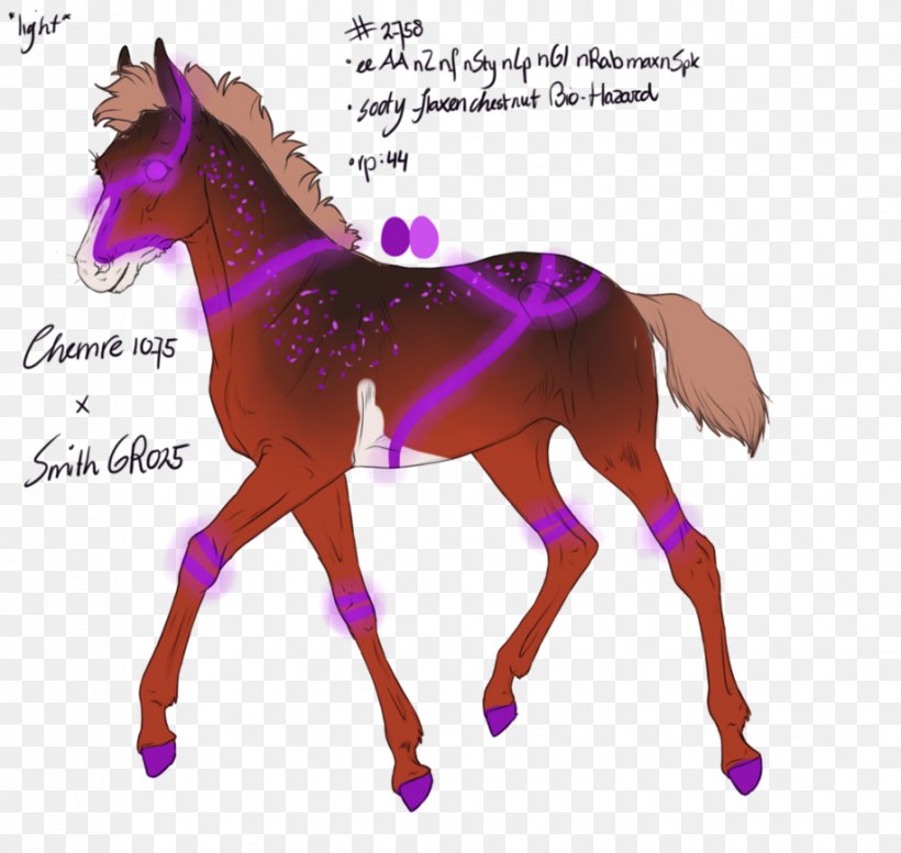 Mustang Stallion Foal Mane Pony, PNG, 917x870px, Mustang, American Paint Horse, Andalusian Horse, Arabian Horse, Bridle Download Free