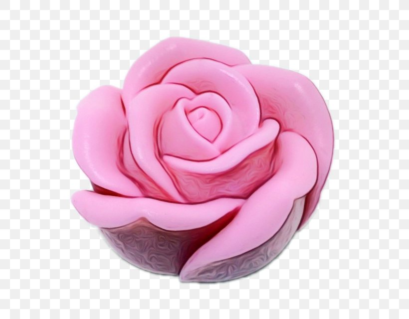 Pink Flower Cartoon, PNG, 640x640px, Garden Roses, Cabbage Rose, Camellia, Candle, Comparison Shopping Website Download Free