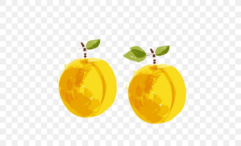 Apricot Citron Tangerine, PNG, 500x500px, Apricot, Apple, Auglis, Citric Acid, Citron Download Free