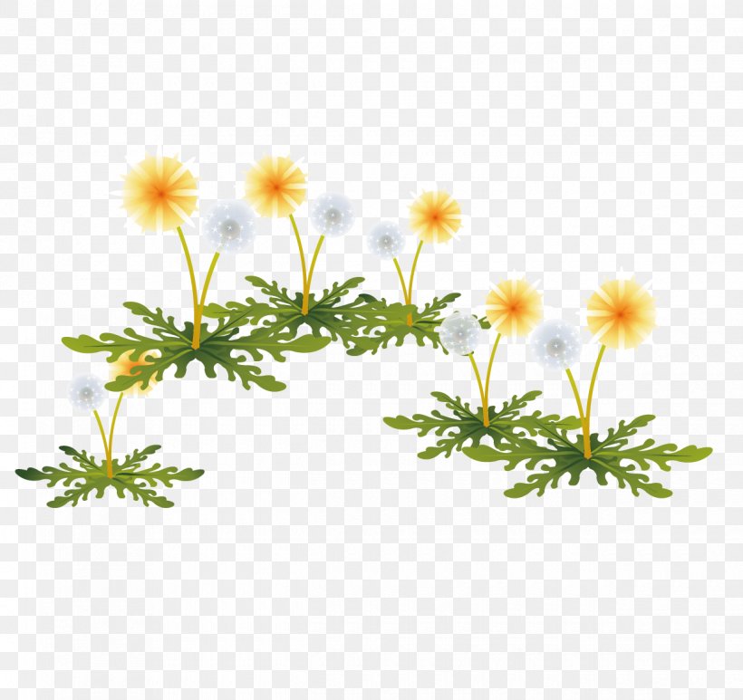 Dandelion, PNG, 1240x1170px, Dandelion, Chrysanths, Dahlia, Daisy, Daisy Family Download Free