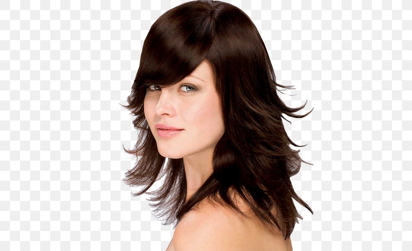 Hair Coloring Brown Hair Human Hair Color Hairstyle, PNG, 500x500px, Hair Coloring, Bangs, Black Hair, Blond, Brown Hair Download Free